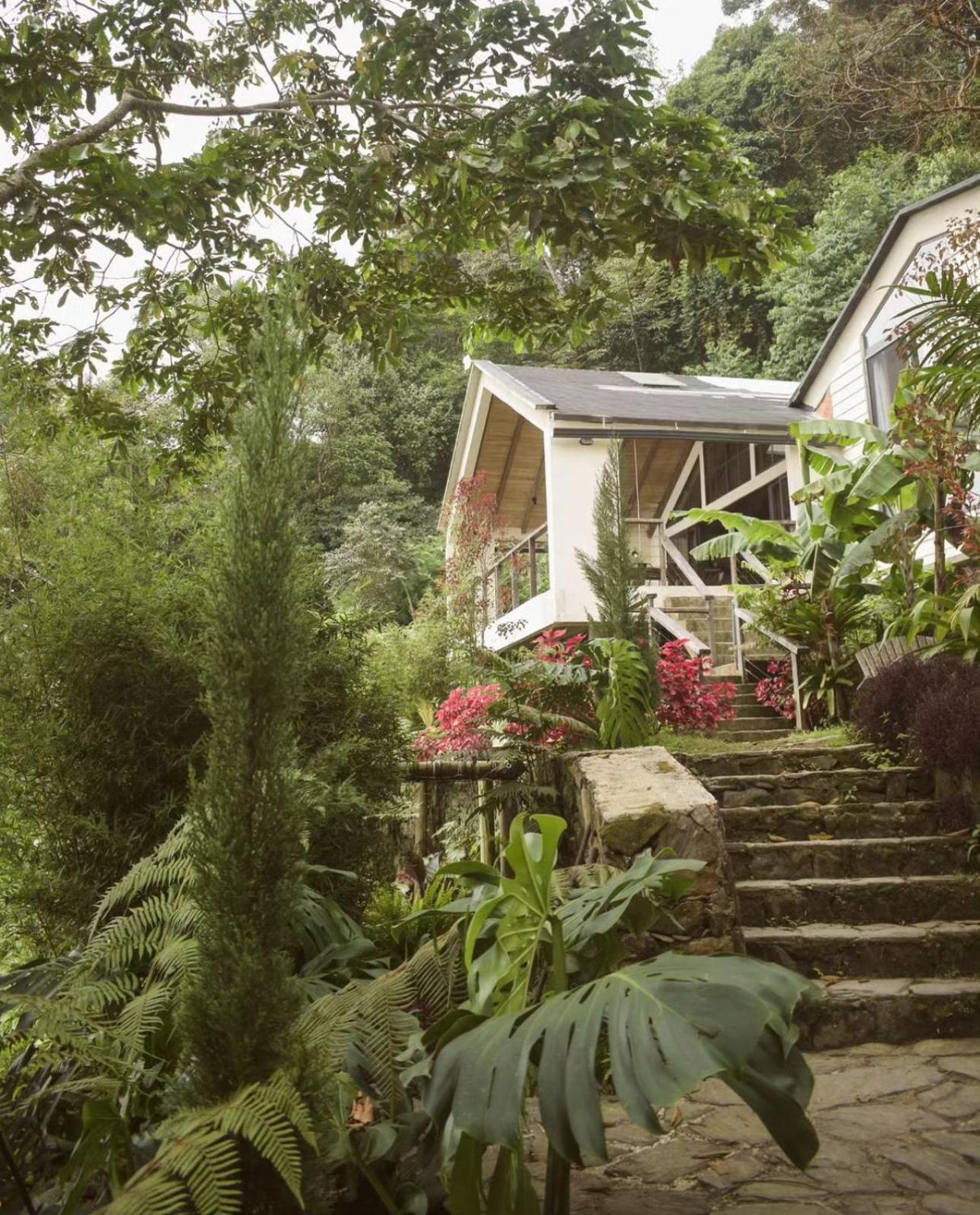 Minca Casa Las Nubes - Un Refugio Natural En La Sierra Nevada, Santa Marta, Col Eksteriør bilde